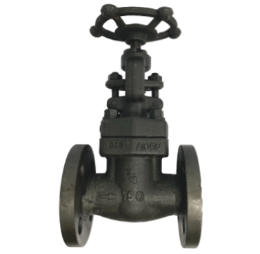 Globe Valve ANSI 150 Forged Steel &mdash; 2