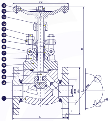 Gambar potongan globe valve ANSI 150 SS316