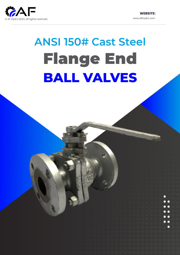 ANSI 300# SS316 Flange End Ball Valves