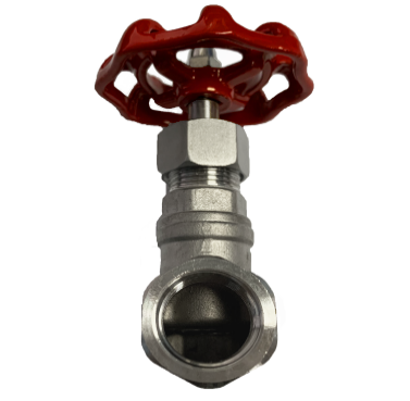 Threaded SS316 Globe Valve, 200 PSI &mdash; 3