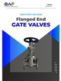 AF Hydro — ANSI 150 Cast Steel catalogue