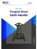 AF Hydro — ANSI 150 Forged Steel catalogue