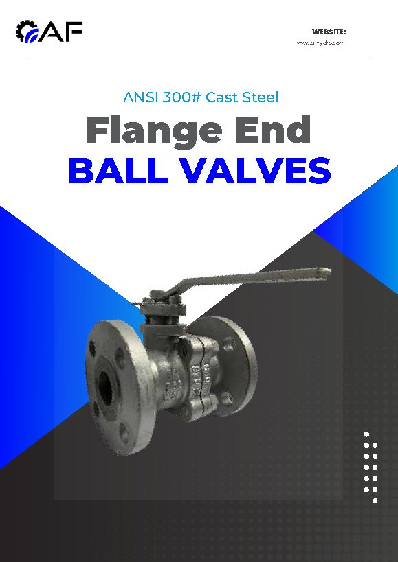ANSI 300# Cast Steel Flange End Ball Valves