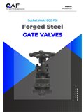 AF Hydro — Socket Weld A105 800 PSI catalogue