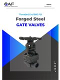 AF Hydro — Threaded Forged Steel 800 PSI catalogue