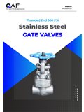 Gate Valve SS316 Berulir 800 PSI catalogue