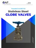 Threaded SS316 Globe Valve, 800 PSI catalogue