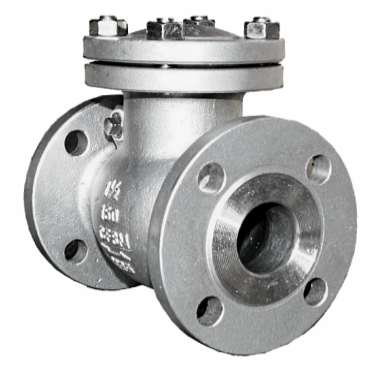 ANSI 150 SS316 swing check valve - bonnet and flange face