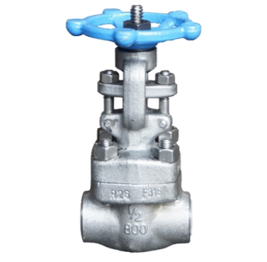 Gate Valve SS316 Berulir 800 PSI