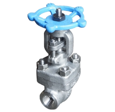 Gate Valve SS316 Berulir 800 PSI — 2