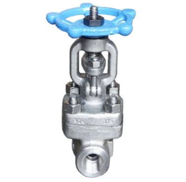 Gate Valve SS316 Berulir 800 PSI — 3