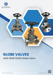 ANSI 150# SS316 Globe Valves