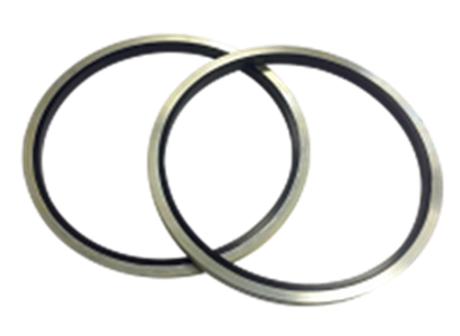 GS Hydro bonded seal