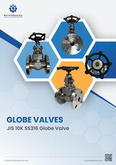 JIS 10K SS316 Globe Valves