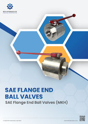 SAE Flange End Ball Valves (MKH)