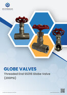 Threaded End SS316 Globe Valves