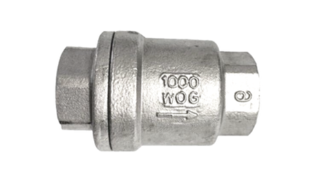 Spring Check Valve BSPP SS316 with Arrow Flow Direction