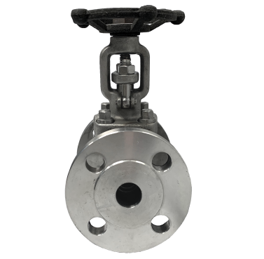 Gate Valve JIS 10K SS316 &mdash; 2
