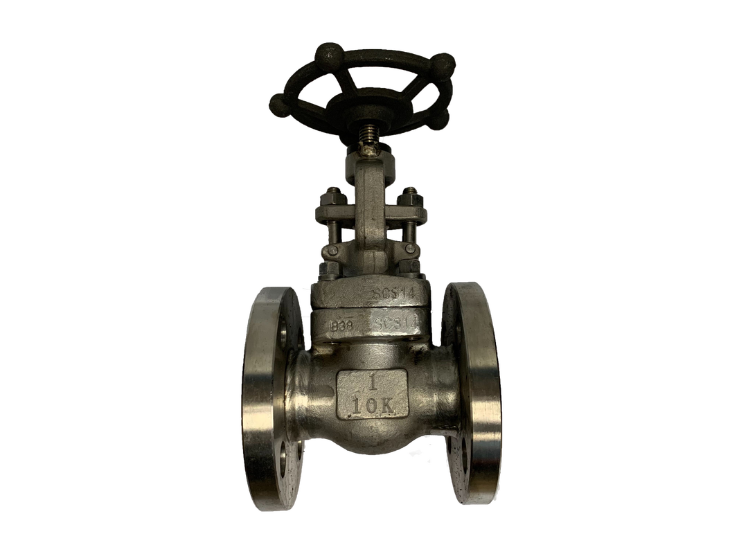 Globe Valve JIS 10K SS316 &mdash; 3