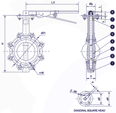 Sectional drawing — lug butterfly valve