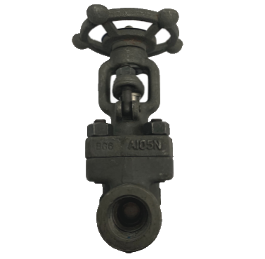 Threaded Forged Steel Gate Valve, 800 PSI — 2