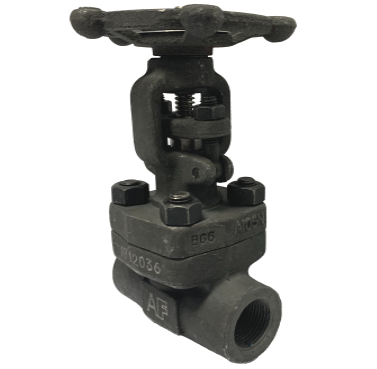 Threaded Forged Steel Gate Valve, 800 PSI — 3