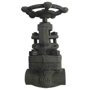 Globe Valve Forged Steel Berulir NPT 800 PSI