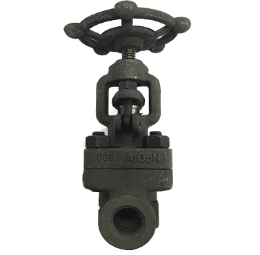 Globe Valve Forged Steel Berulir NPT 800 PSI — 2