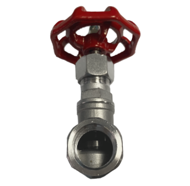 Threaded SS316 Globe Valve, 200 PSI &mdash; 2