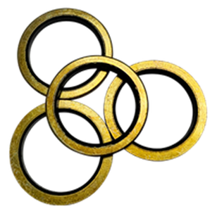 SS302 bonded seal with elastomer