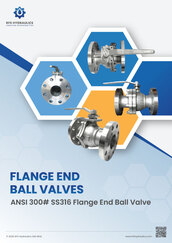 ANSI 300# SS316 Flange End Ball Valves