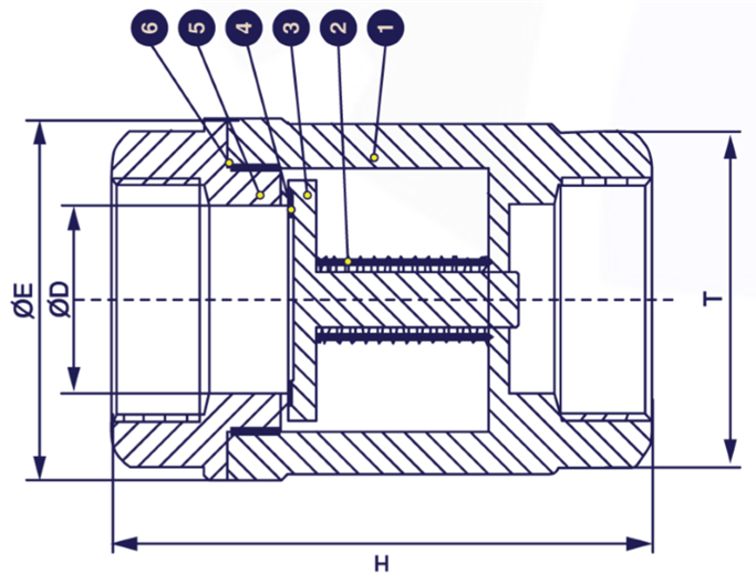 Sectional drawing &mdash; Spring Check Valve