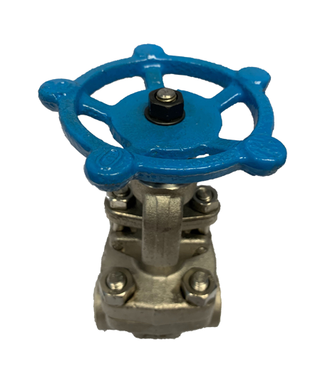 Threaded SS316 Globe Valve, 800 PSI &mdash; 3