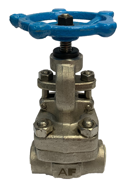 Threaded SS316 Globe Valve, 800 PSI