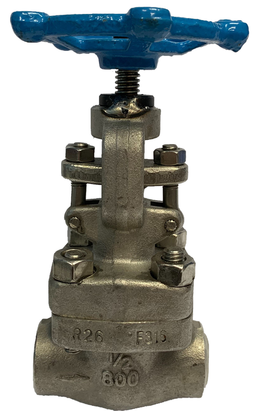 Threaded SS316 Globe Valve, 800 PSI &mdash; 2