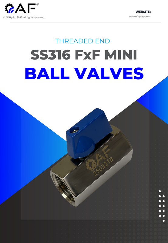 SS316 F×F Mini Ball Valves