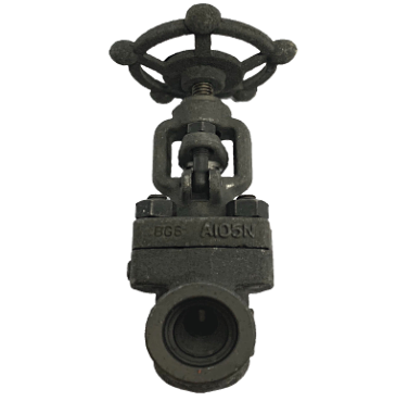 Globe valve Weld End Forged Steel