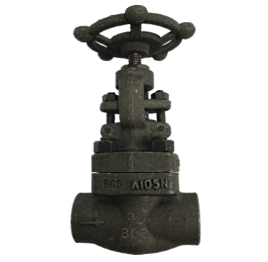 Socket Weld Forged Steel Globe Valve, 800 PSI &mdash; 2