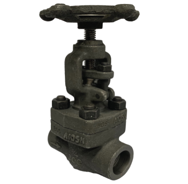 Socket Weld Forged Steel Globe Valve, 800 PSI &mdash; 3