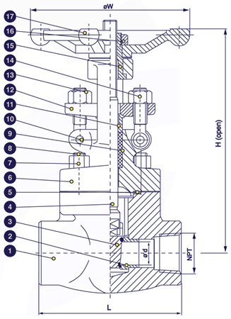 Sectional drawing — threaded forged steel gate valve, 800 PSI