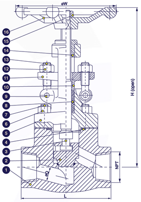 Gambar potongan globe valve forged steel berulir