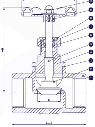 Sectional drawing &mdash; threaded SS316 globe valve, 200 PSI