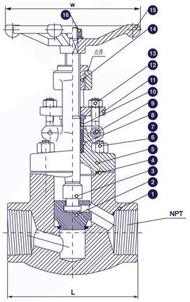 Sectional drawing &mdash; threaded SS316 globe valve, 800 PSI