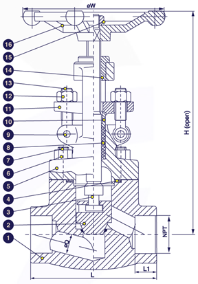 Sectional drawing &mdash; socket weld forged steel globe valve